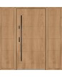 Fargo 26C T - Haustüre mit 2 Seitenteilen