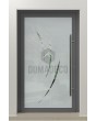 LIM Glass S - mattierte Haustür mit transparentem Motiv