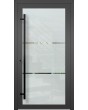 LIM Glass S - mattierte Haustür mit transparentem Motiv