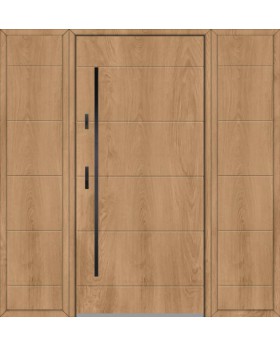 Fargo 26C T - Haustüre mit 2 Seitenteilen