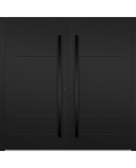 LIM W313 double / Französische Aluminium-Haustür